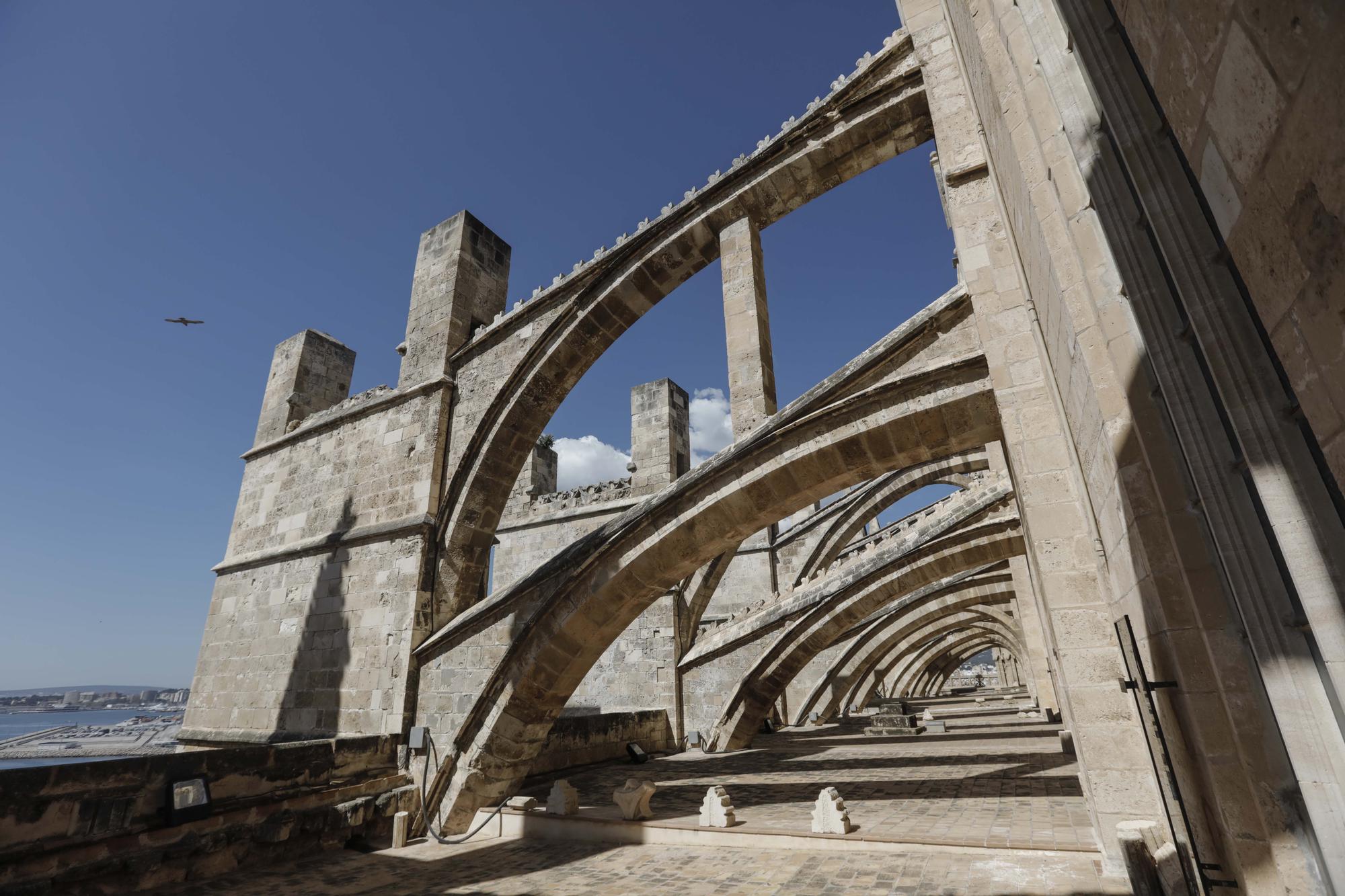 Visita a las terrazas de la Catedral