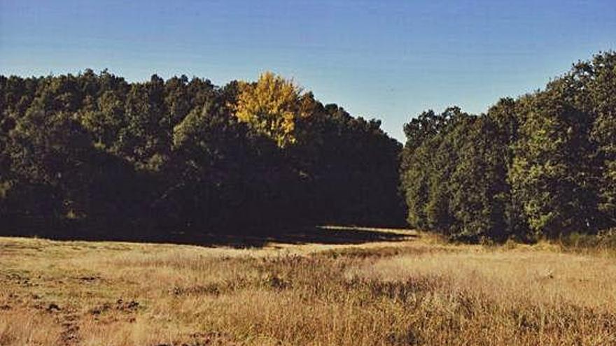 A la izquierda a derecha y de arriba abajo, camino de Piniella, vista parcial del barrio de Lagarejos, iglesia de la localidad, uno de los cotos, plano de nuestra ruta y ermita.