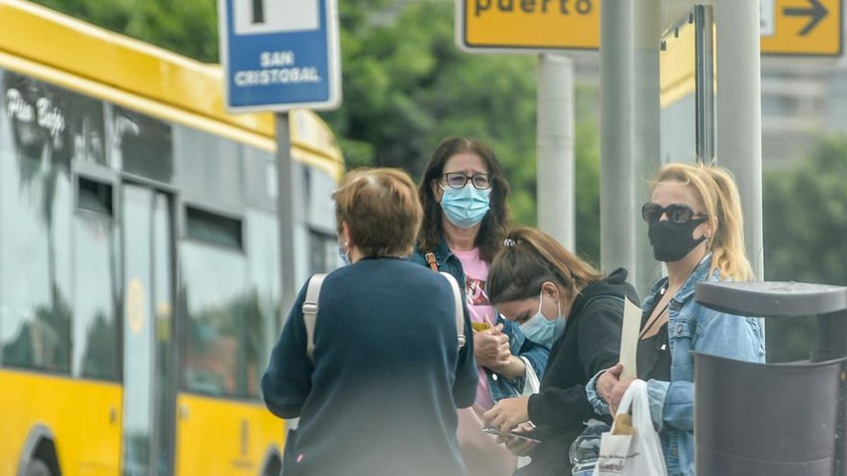 Los usuarios de guagua en Canarias crecen un 26,6% en el primer semestre de 2021