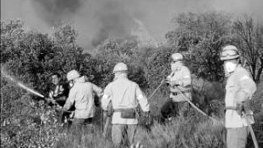 La Montaña de Cáceres se prepara contra el fuego