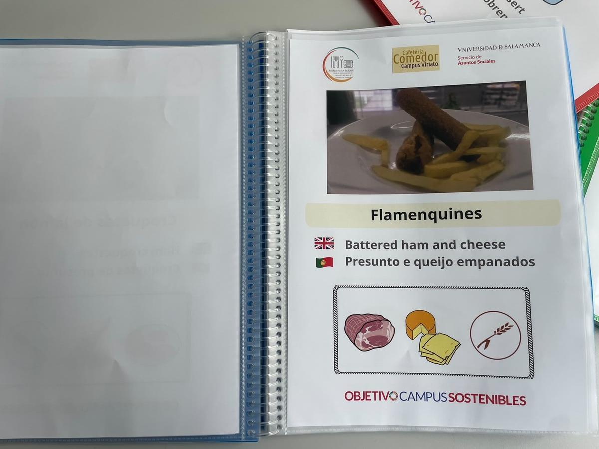 Ejemplo de una de las páginas del menú accesible.