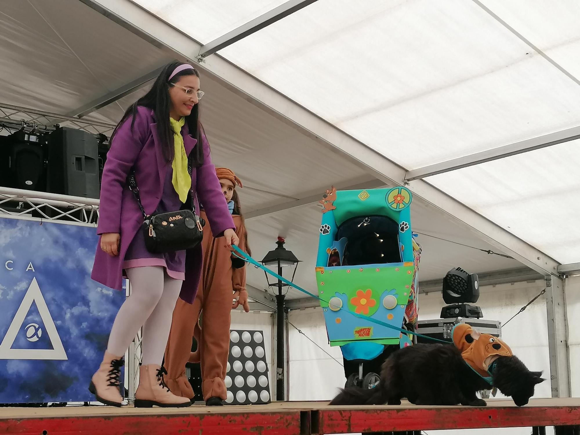 GALERÍA | Los animales se suman a la fiesta en el Carnaval de Toro