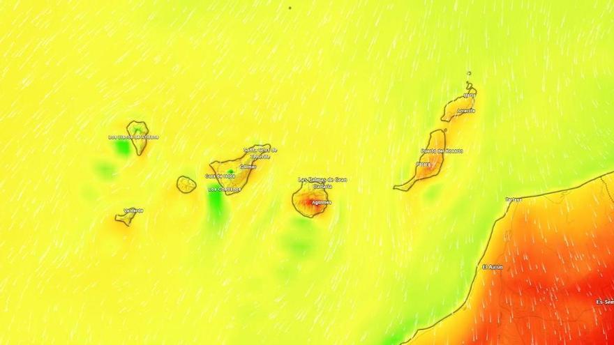 Canary Islands Forecast: Rising Temperatures and Strong Winds Expected Monday
