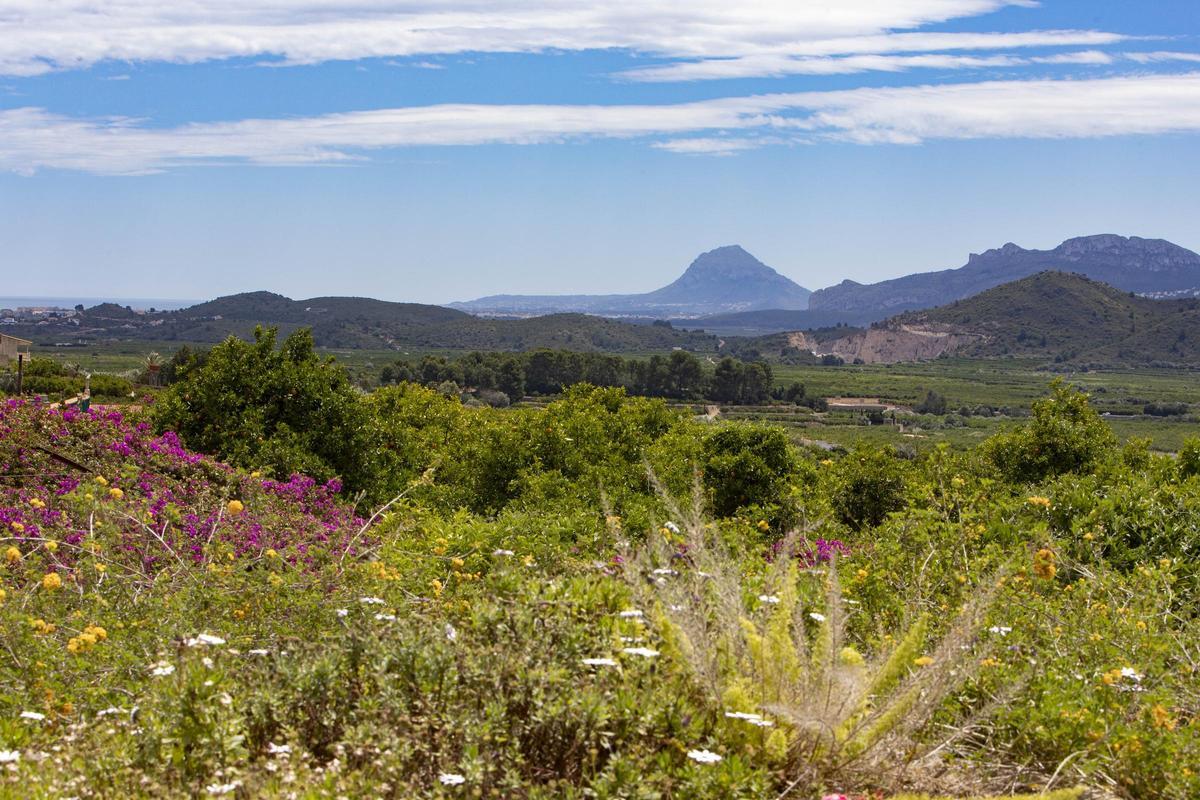 Paisaje agrícola y de monte desde l'Elca.