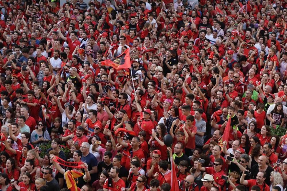 El Real Mallorca celebra el ascenso a Primera División