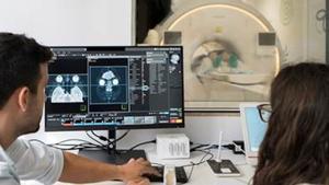 "Més forts i més feliços"