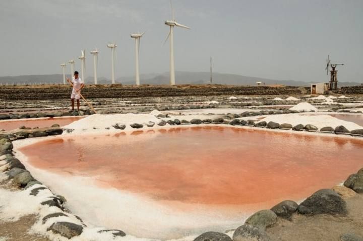 Reportaje en las Salinas de Tenefe en Pozo Izquierdo