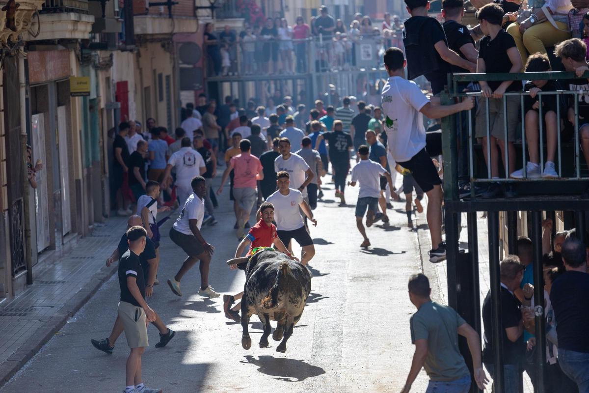 El tradicional encierro es el sábado 16 de mayo.
