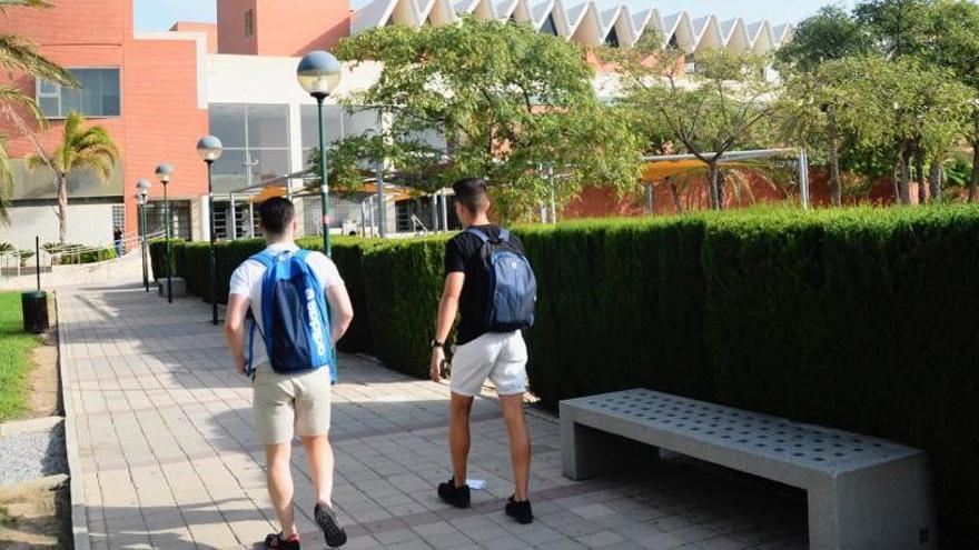 Alumnos en el campus de Elche.