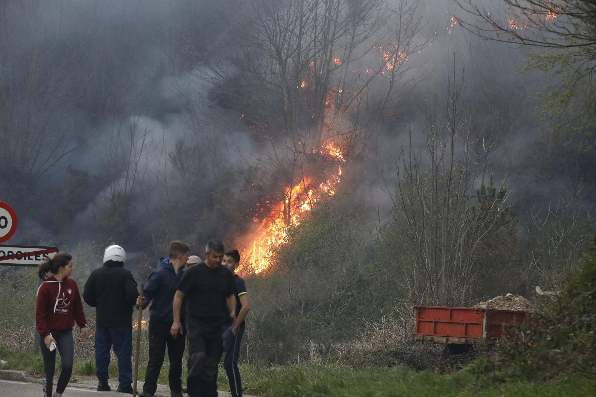 EN IMÁGENES: bomberos, vecinos y la UME luchan contra el preocupante incendio en Tineo