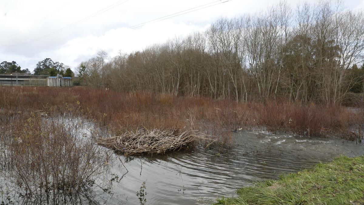 La crecida del río Miñor provoca inundaciones a su paso por Gondomar