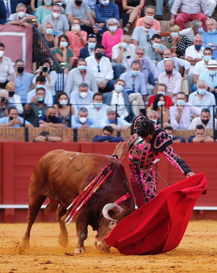 Morante cuajó a la perfección este toro de Juan Pedro Domecq en Sevilla.