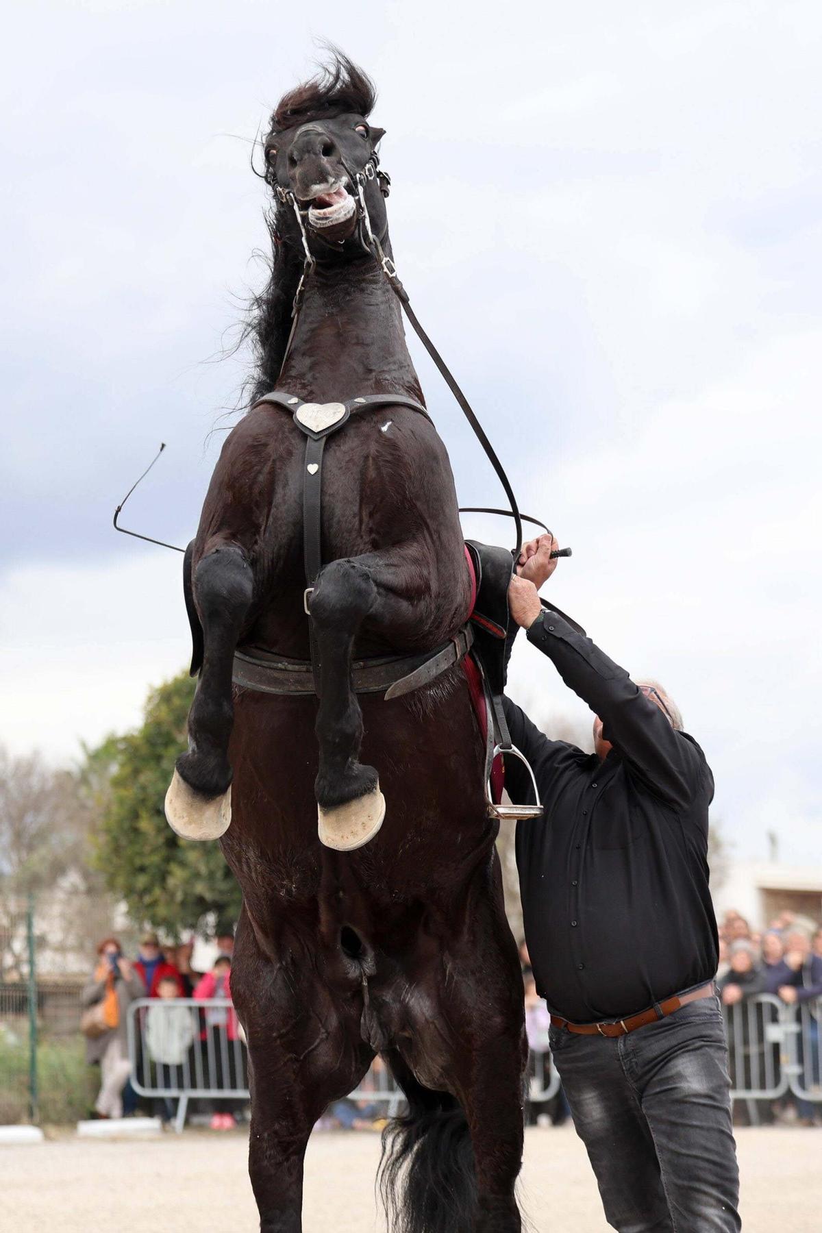 Celebración del Dia de les Illes Ballears en Ibiza