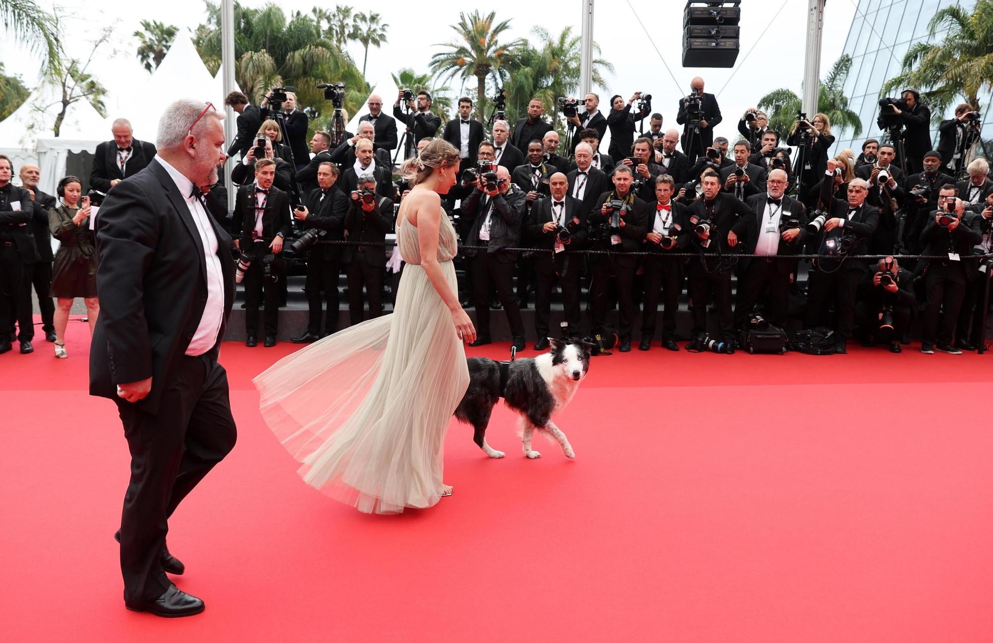 Las mejores fotos de la alfombra roja del Festival de Cannes 2024