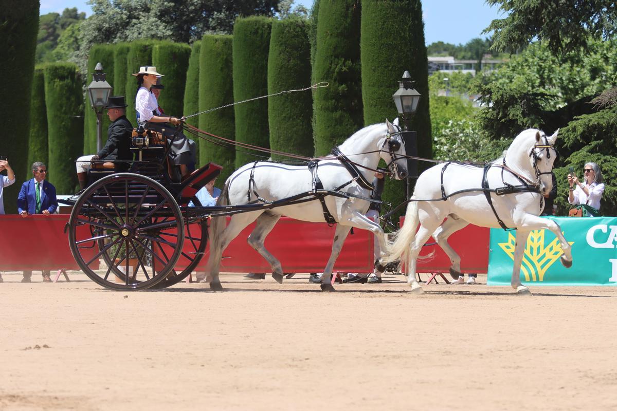Los coches de caballos lucen su esplendor del Alcázar al Arenal