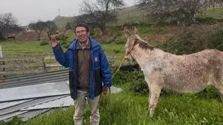 El burro Espinete protagonizará la protesta simbólica frente al ayuntamiento para defender las huertas de Cáceres