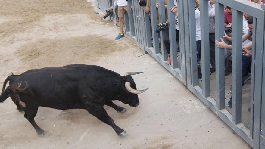 Imagen de archivo de festejos taurinos en Castelló