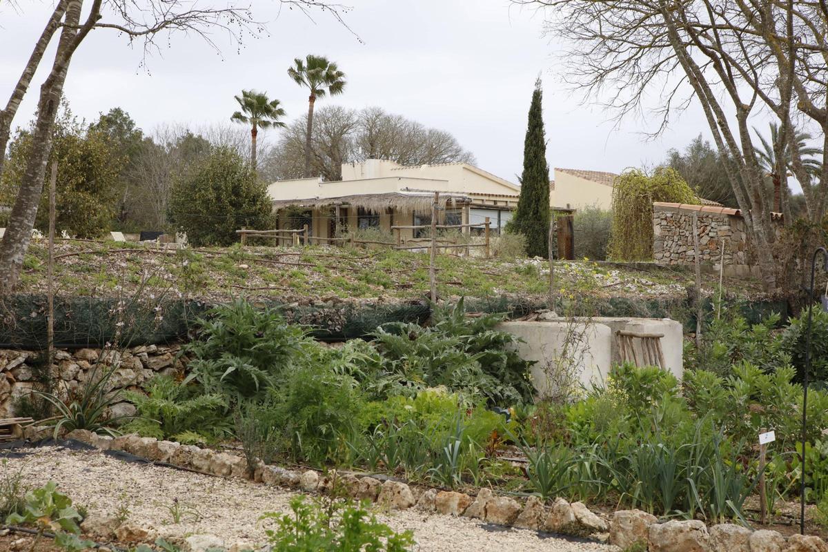 Zu der "Only Summer-Finca" gehört auch ein Gemüsegarten, aus dem die Retreat-Teilnehmerinnen ihr Essen teilweise ernten