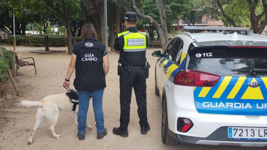 Sis lladres habituals han comès el 50% dels delictes contra el patrimoni a Figueres