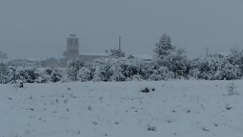 Nevades a la Cerdanya i el Berguedà