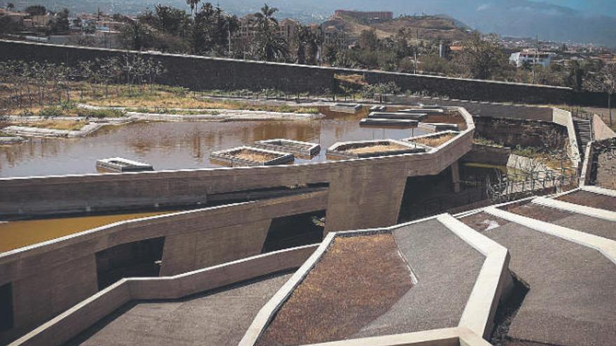 El Jardín Botánico reabre sus puertas después de cuatro meses de cierre