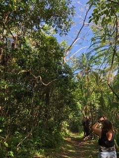 A bióloga trasdezá, na selva.