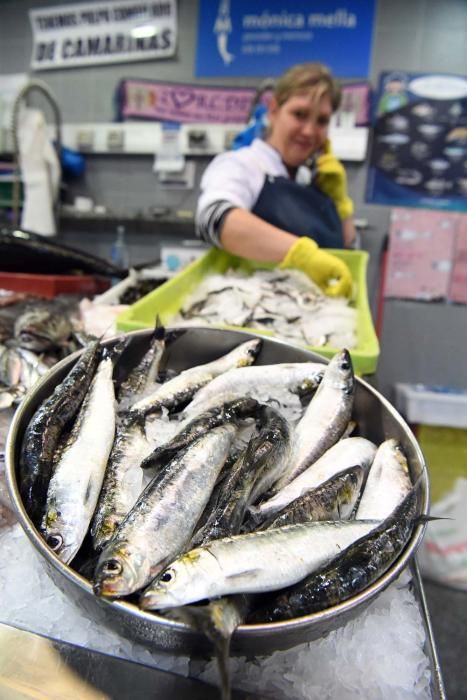 San Juan A Coruña 2017: Sardinas en las plazas