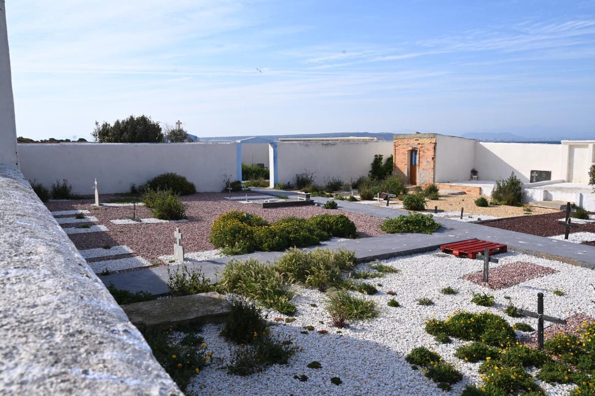 Explosión de verde en Tabarca: la primavera sorprende a vecinos y turistas