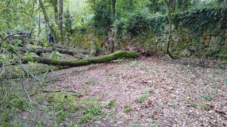 Un “mini tornado” arranca una docena de árboles y aísla una vivienda en Arbo