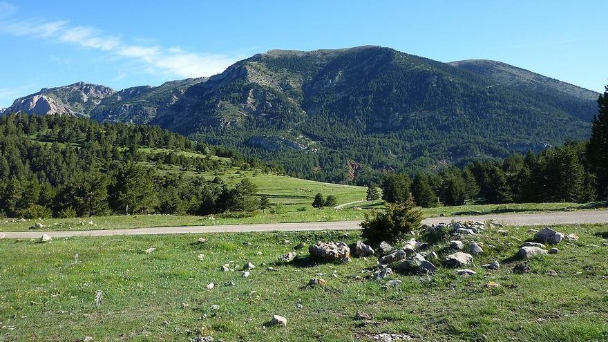 Obagues de la serra d’Ensija