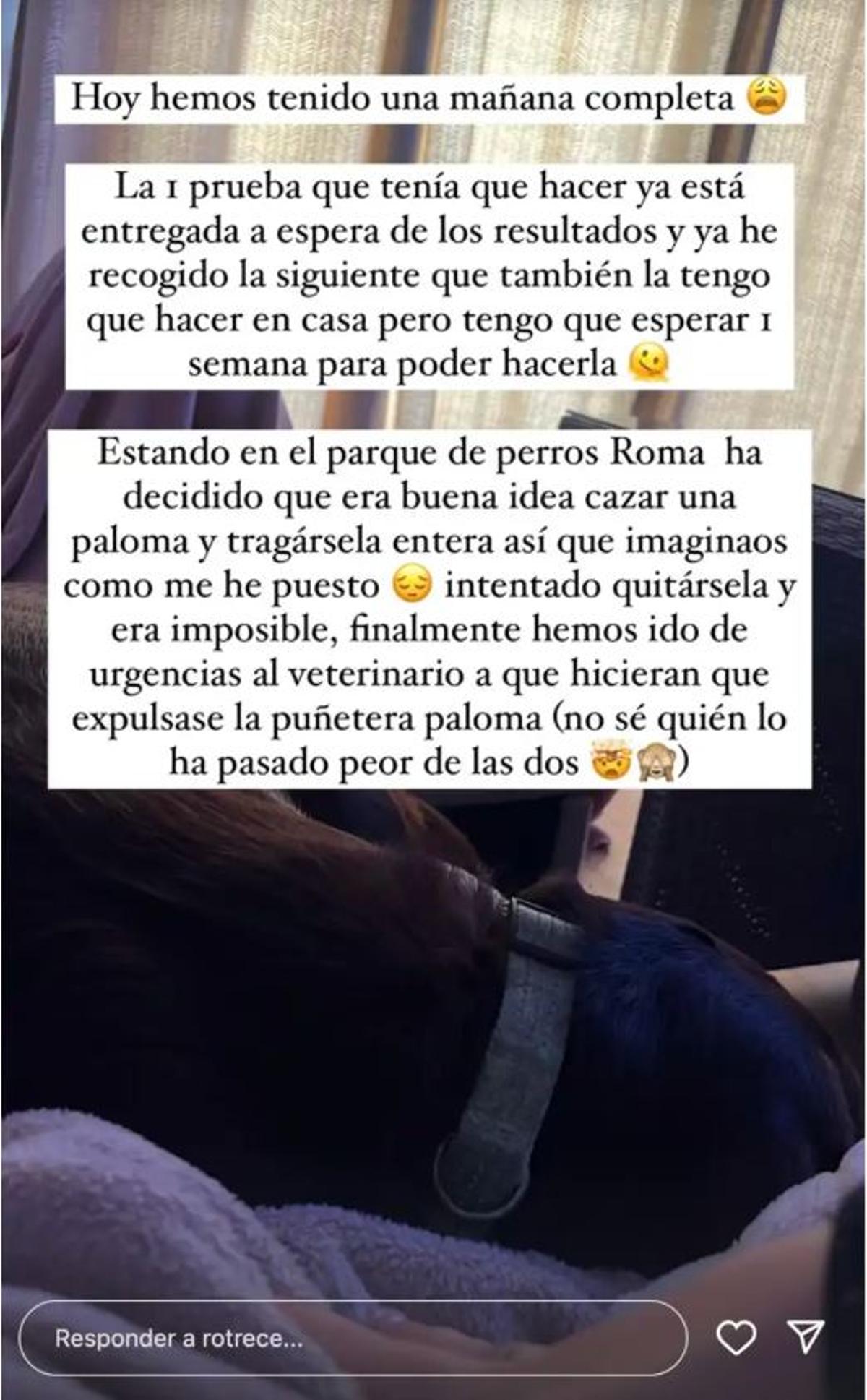 Rocío Flores acaba en urgencias