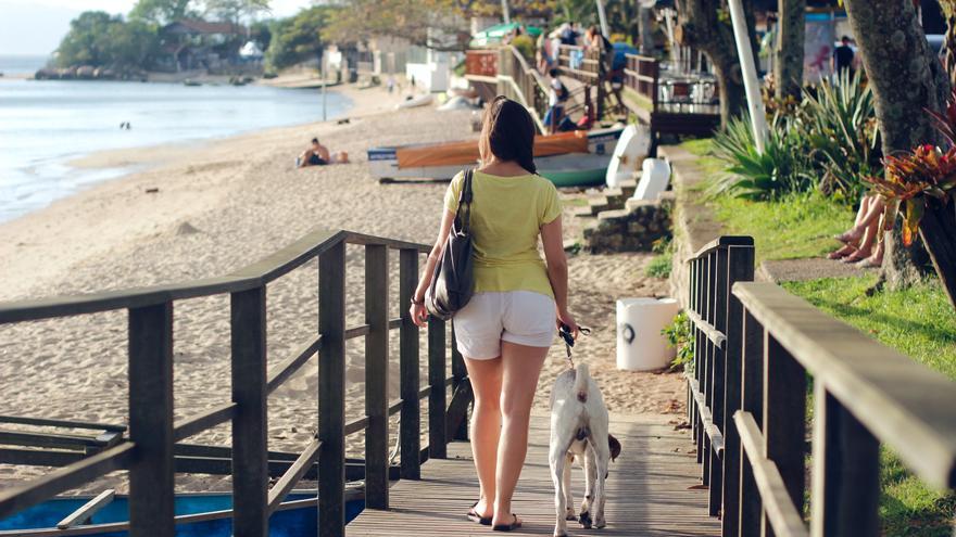 Cómo proteger a tu mascota del sol este verano