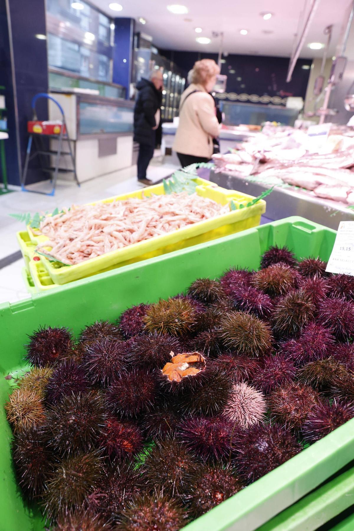 Los primeros oricios asturianos llegan a El Llano a precio de lujo: “Están caros, pero van a volar”