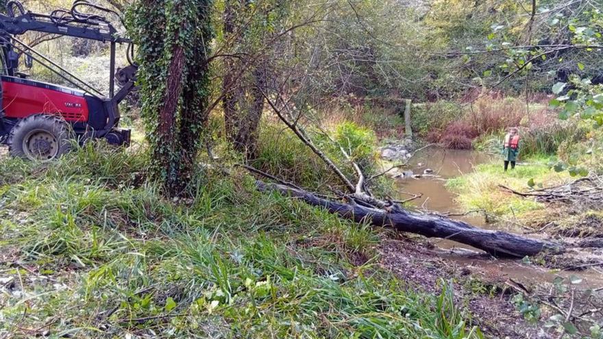 Labores de conservación en el río Mero | LOC