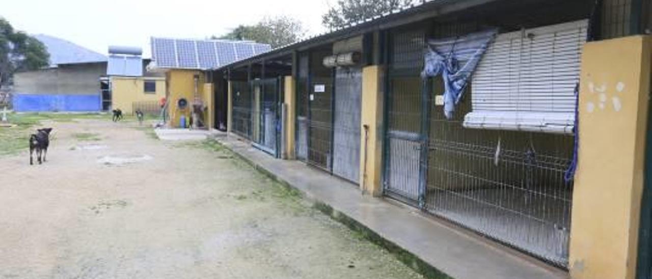 Las instalaciones de la Protectora de animales en la partida de la Banyosa.