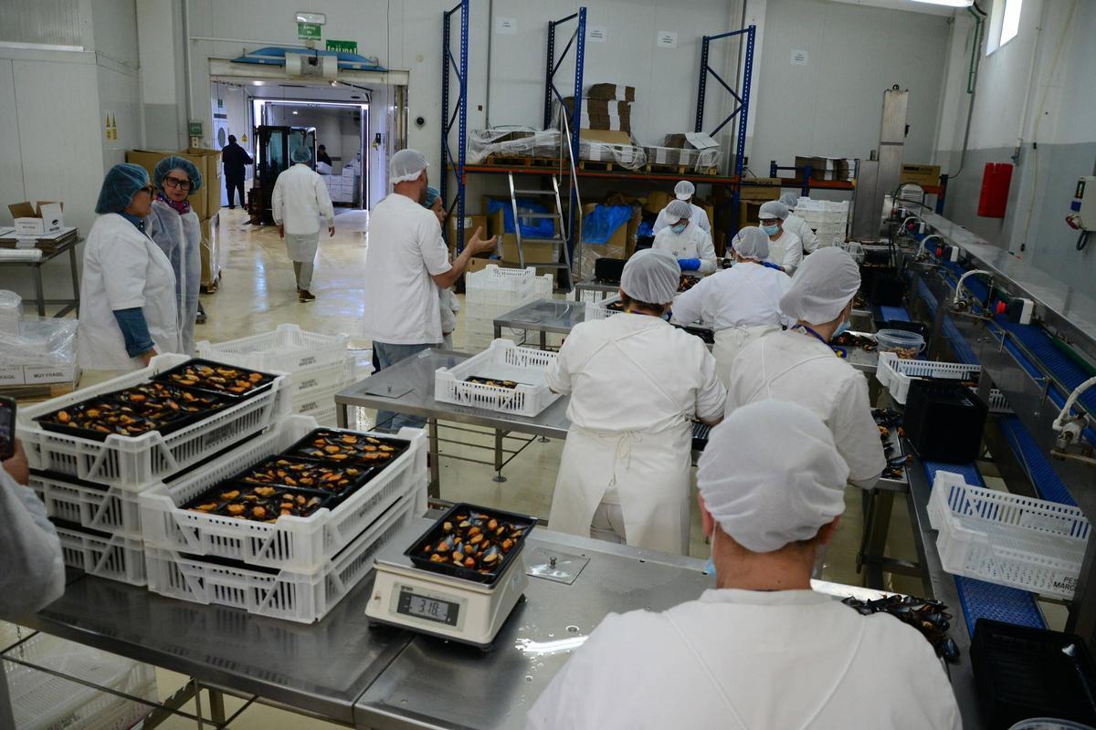 Visita a las instalaciones de Pescados Marcelino, una empresa con más de medio siglo de historia en el puerto de Aldán Visita a las instalaciones de Pescados Marcelino, una empresa con más de medio siglo de historia en el puerto de Aldán