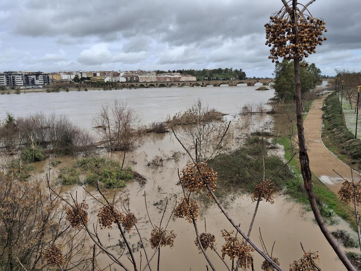 Fotogalería | El buen tiempo devuelve a los pacenses al río