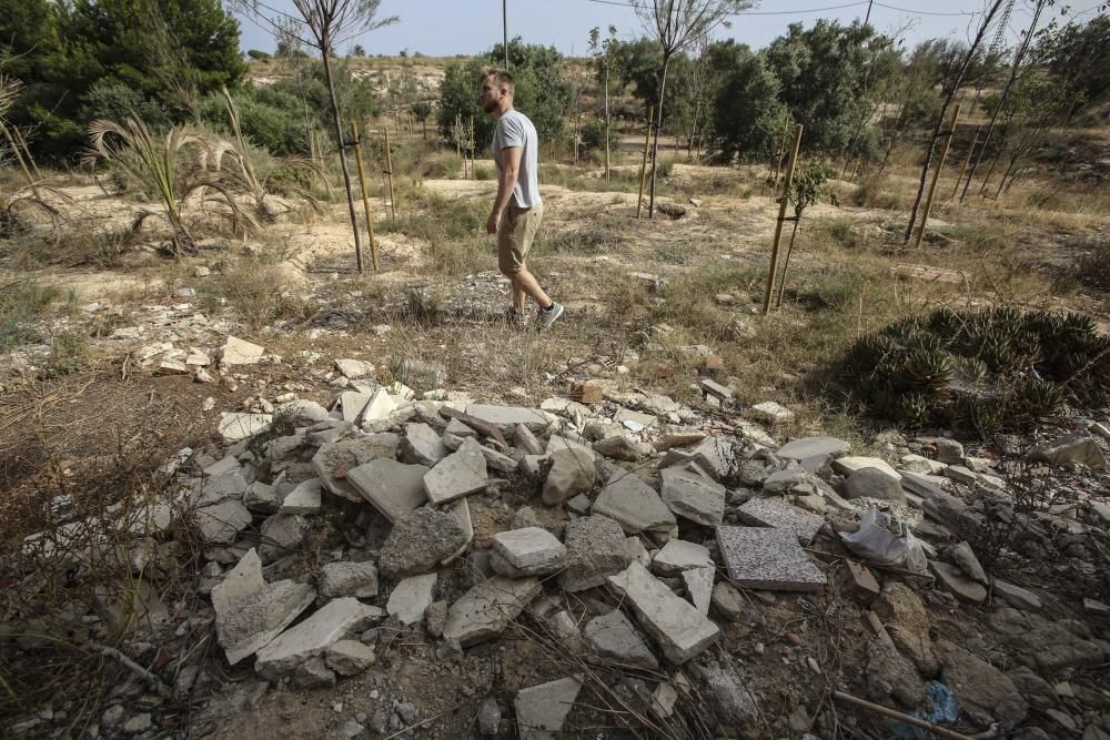 El bosque urbano de la sierra del Porquet, en la entrada sur de Alicante, carece de sistema de riego y el arbolado está en las últimas