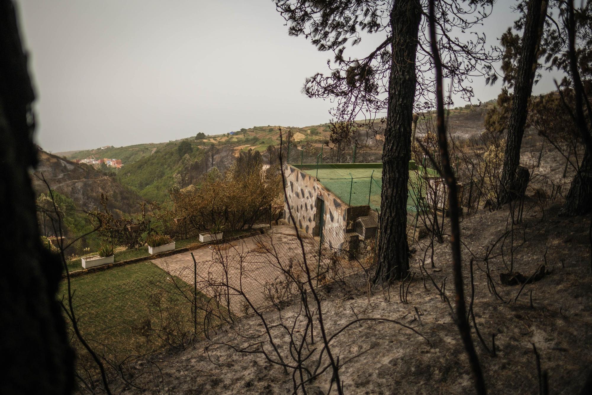 Imágenes de este domingo del incendio de Tenerife.