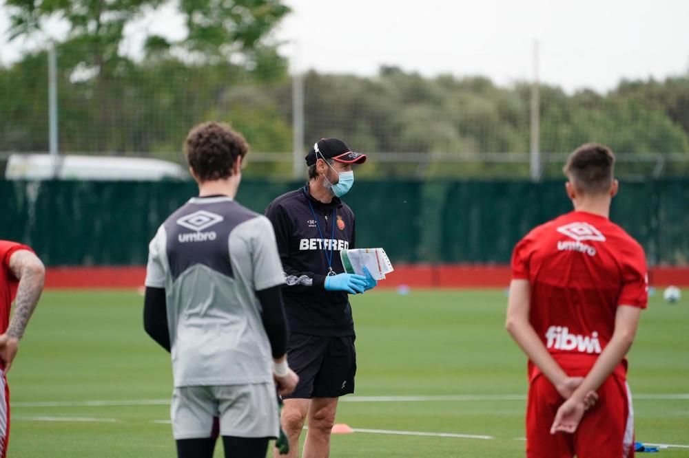 Entrenamiento del Malloca en Son Bibiloni