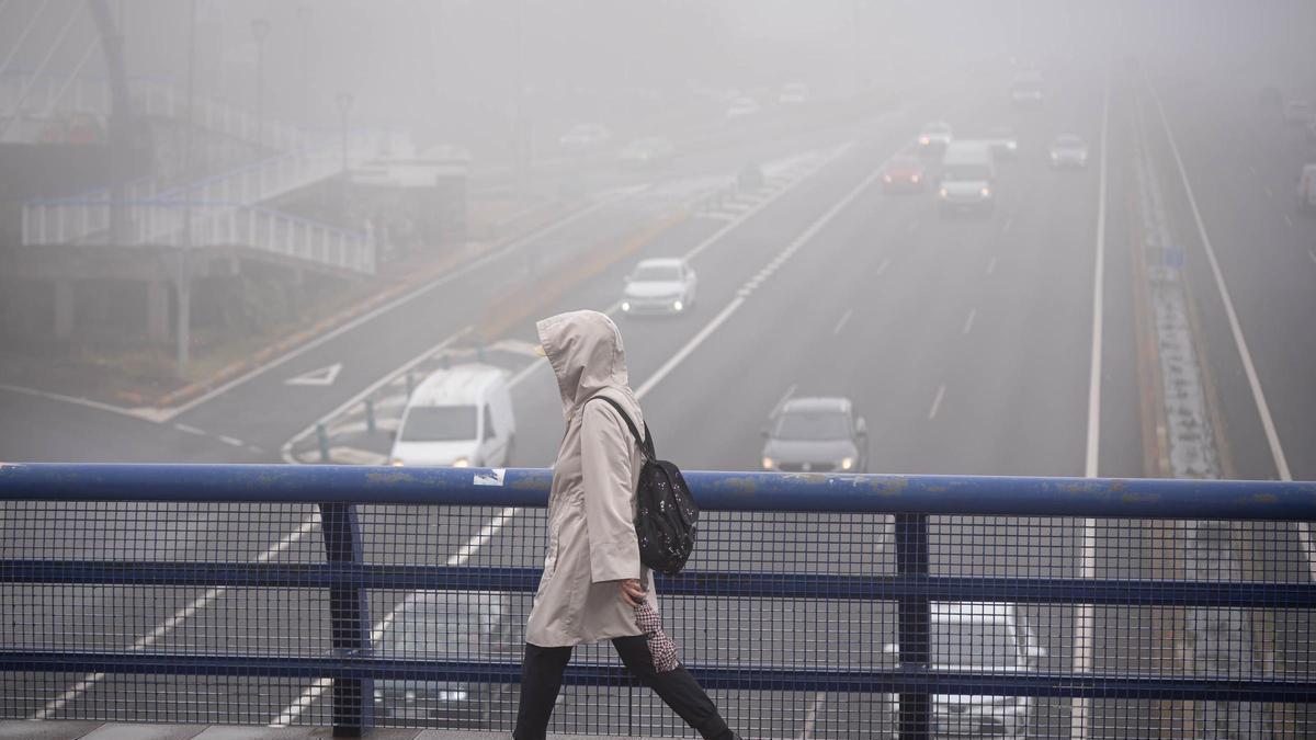 Rosa Dávila informa de que Tenerife eleva a alerta máxima el área metropolitana
