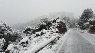 Mario Picazo alerta: la nieve podría llegar a Mallorca este fin de semana