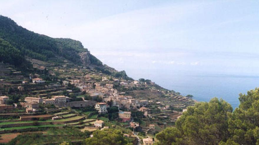 Los bancales, una de las particularidades de la Serra de Tramuntana.