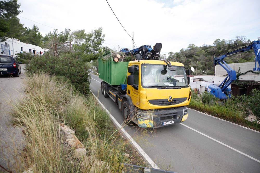 El viento entró por ses Variades y se cebó sobre todo en las zonas de Cala Gració y Can Coix hasta disiparse ya cerca de Santa Agnès