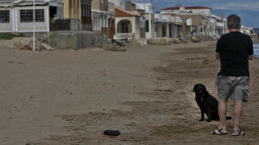 Vuelven a solicitar que Elche tenga una playa para perros