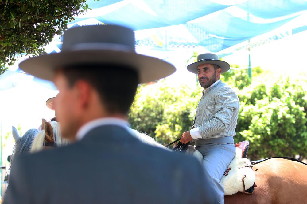 Caballos en el Real de la Feria