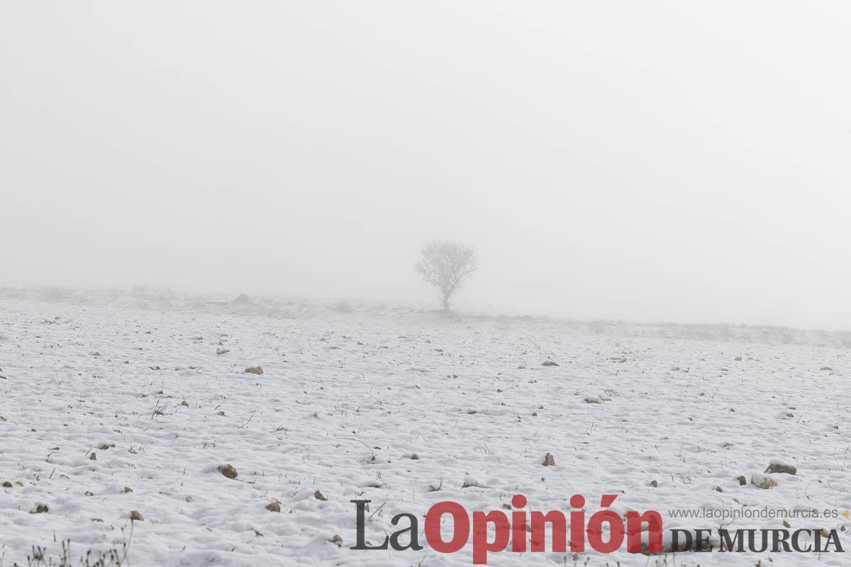 Descubre la última nevada del invierno en las proximidades de Revolcadores en Moratalla