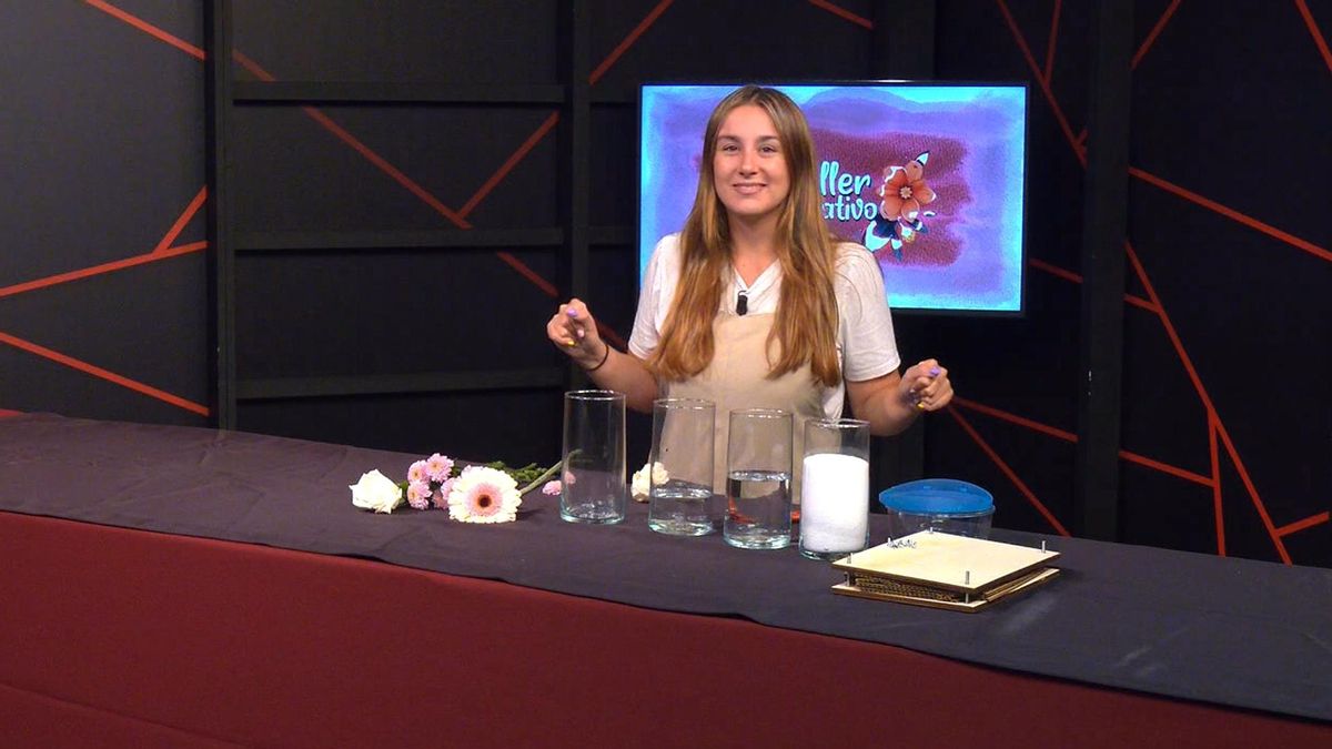 Preservar Flores