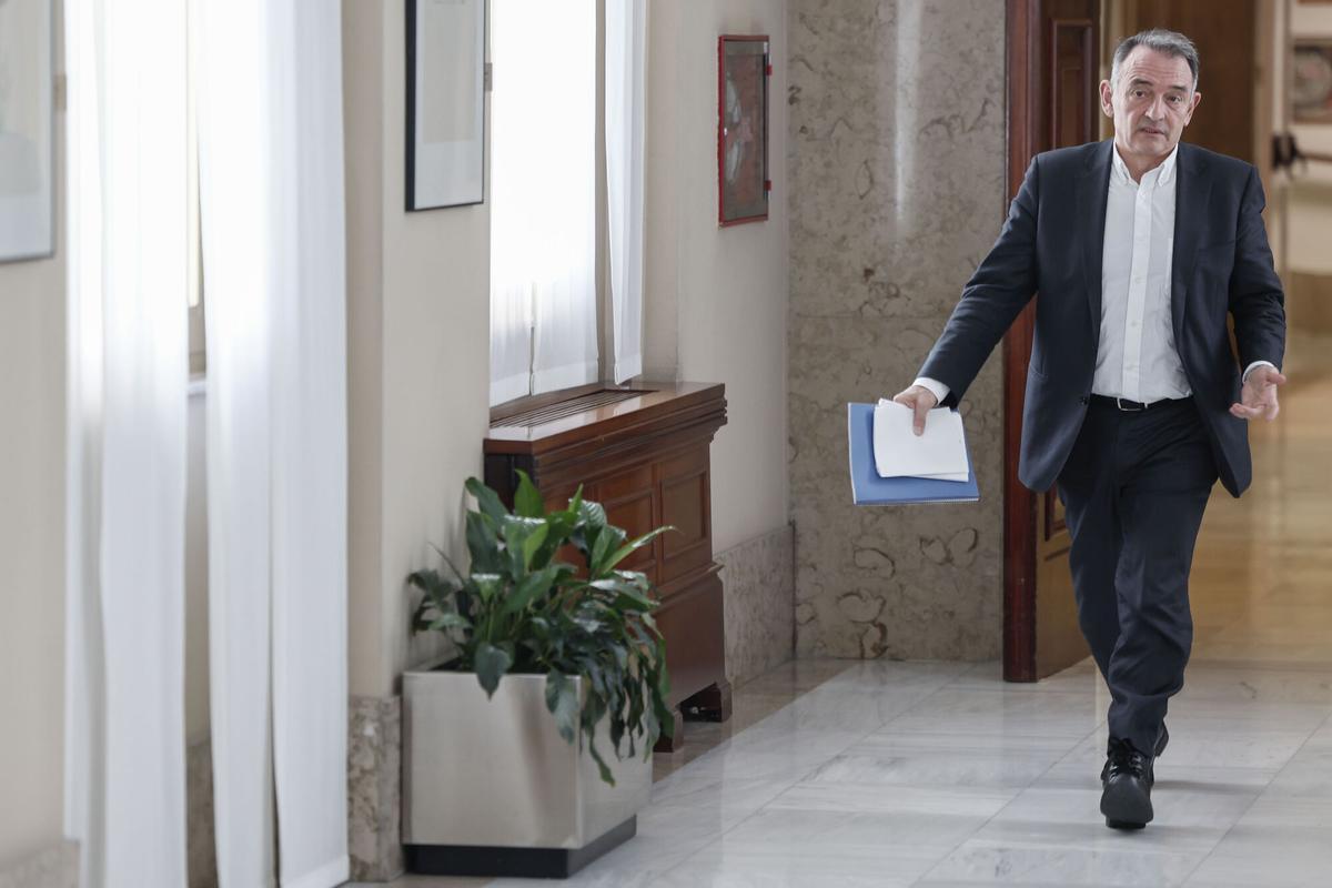 El diputado de IU Enrique Santiago en el Congreso de los Diputados