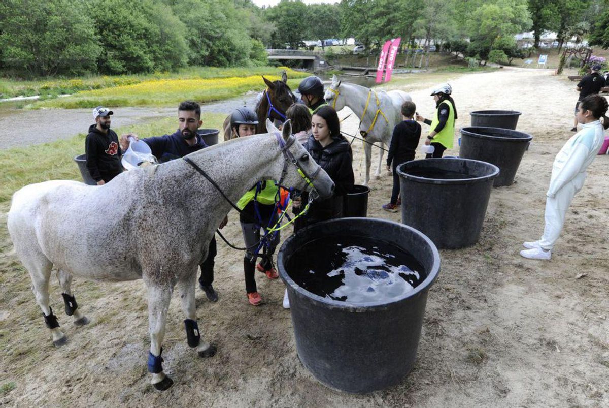 El salmón ‘cabalga’ junto al Liñares